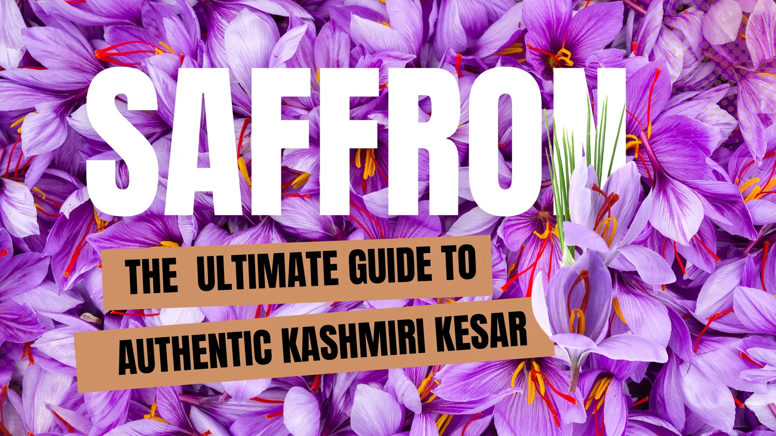 Buy Kashmiri Saffron-Authentic Kashmiri Kesar