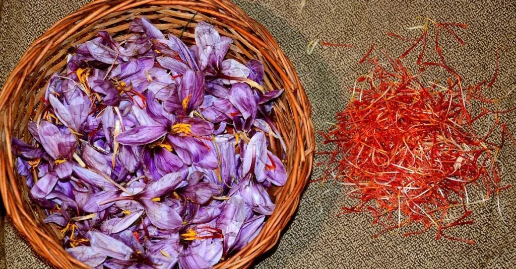 How to Identify 100% Authentic Kashmiri Kesar