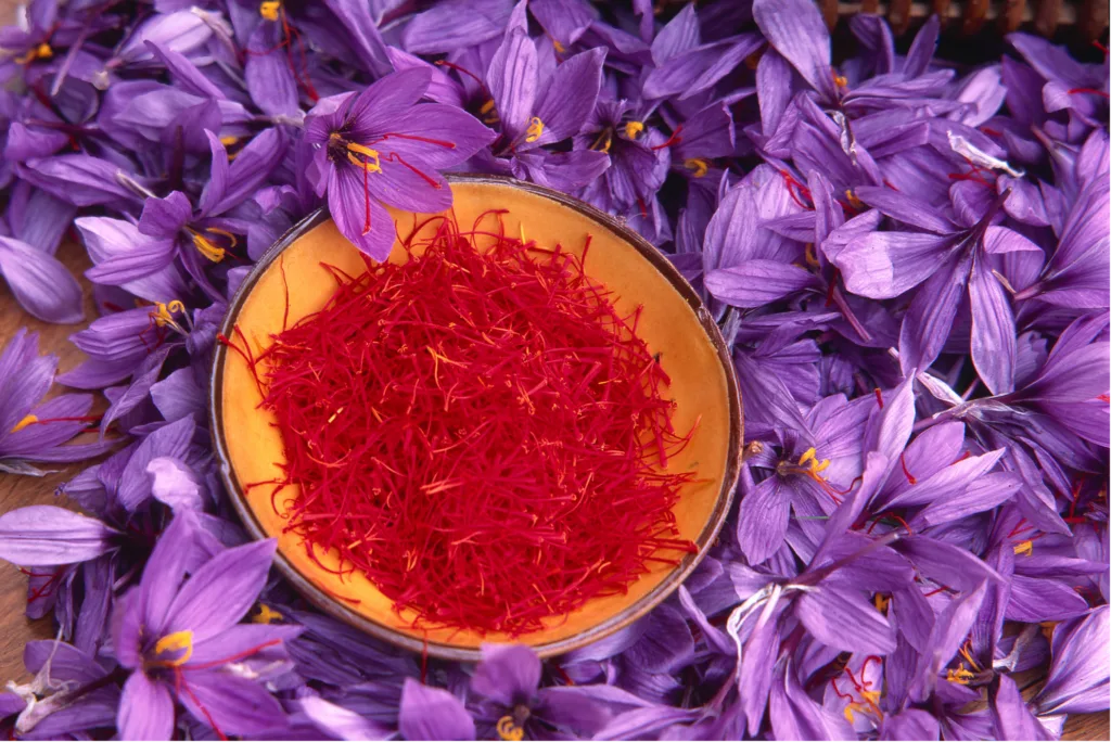 Kesar Current Market Insights and Future Projections